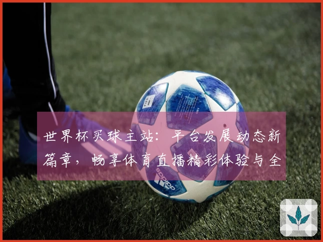 世界杯买球主站：平台发展动态新篇章，畅享体育直播精彩体验与全面功能指引