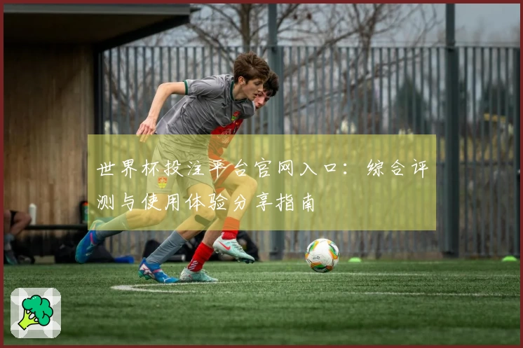世界杯投注平台官网入口：综合评测与使用体验分享指南