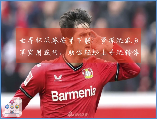 世界杯买球安卓下载：资深玩家分享实用技巧，助你轻松上手玩转体育直播