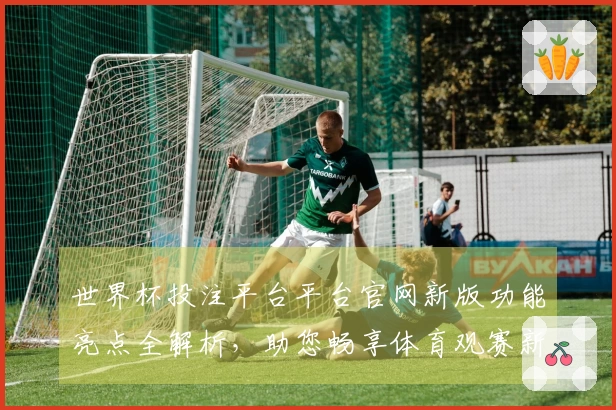 世界杯投注平台平台官网新版功能亮点全解析，助您畅享体育观赛新体验